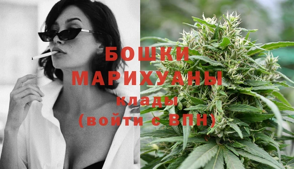 прущие крисы Корсаков