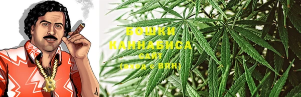 прущие крисы Корсаков
